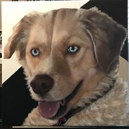 Hand painted pet portrait from your photo, hand painted acrylic dog portrait