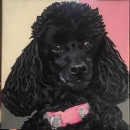 Hand painted pet portraits by Maureen Brady Page